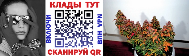 Где купить наркоту Зубцов Гашиш Cocaine Alpha-PVP Конопля Псилоцибиновые грибы Меф Амфетамин