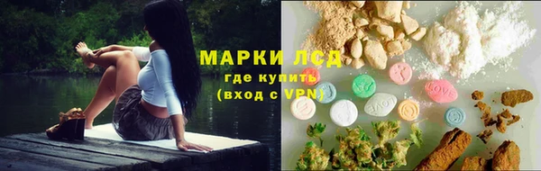 СК Абинск