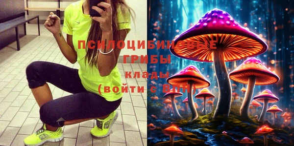прущая мука Абаза