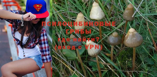 прущая мука Абаза